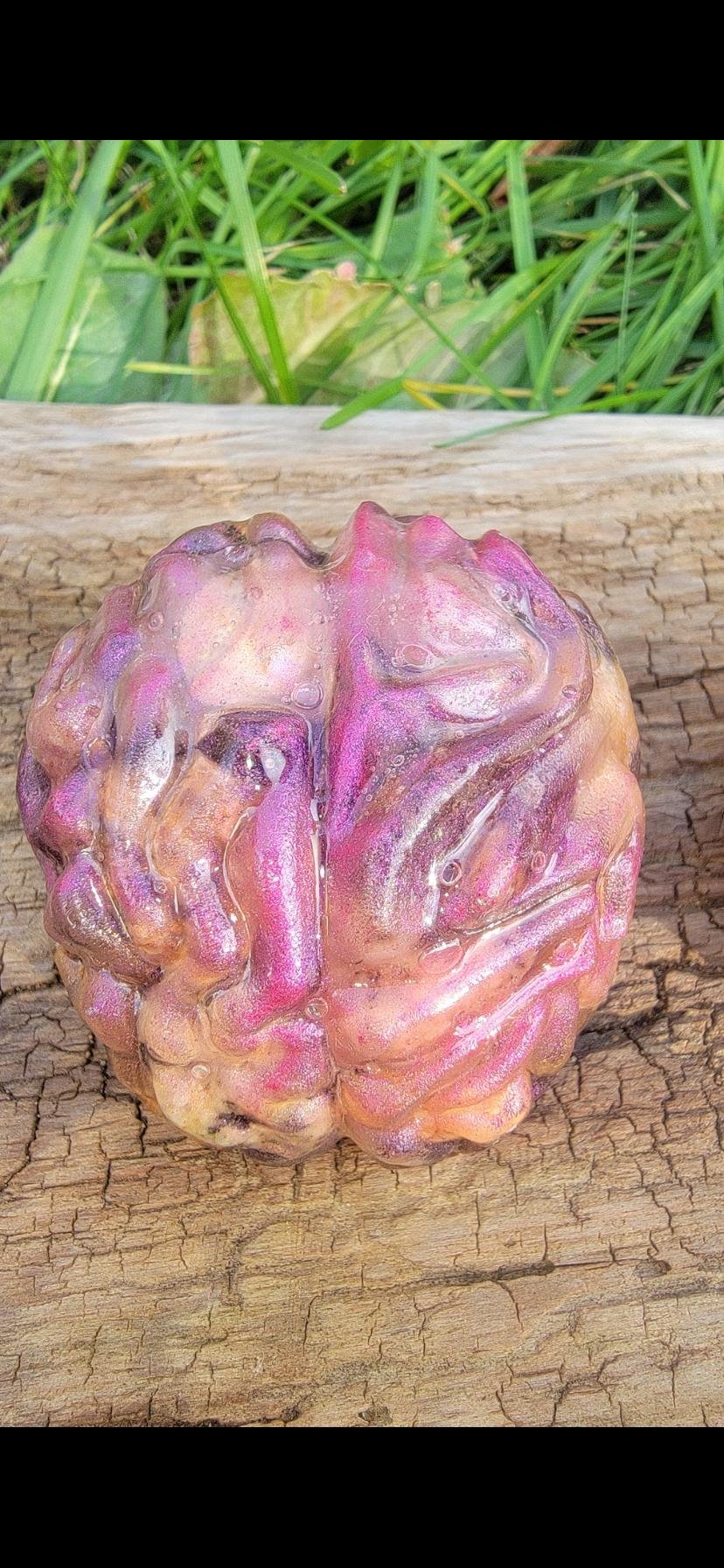 Rocks on the brain paperweights — option 1