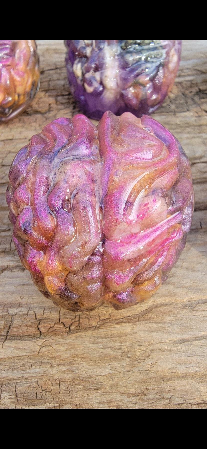 Rocks on the brain paperweights — option 2