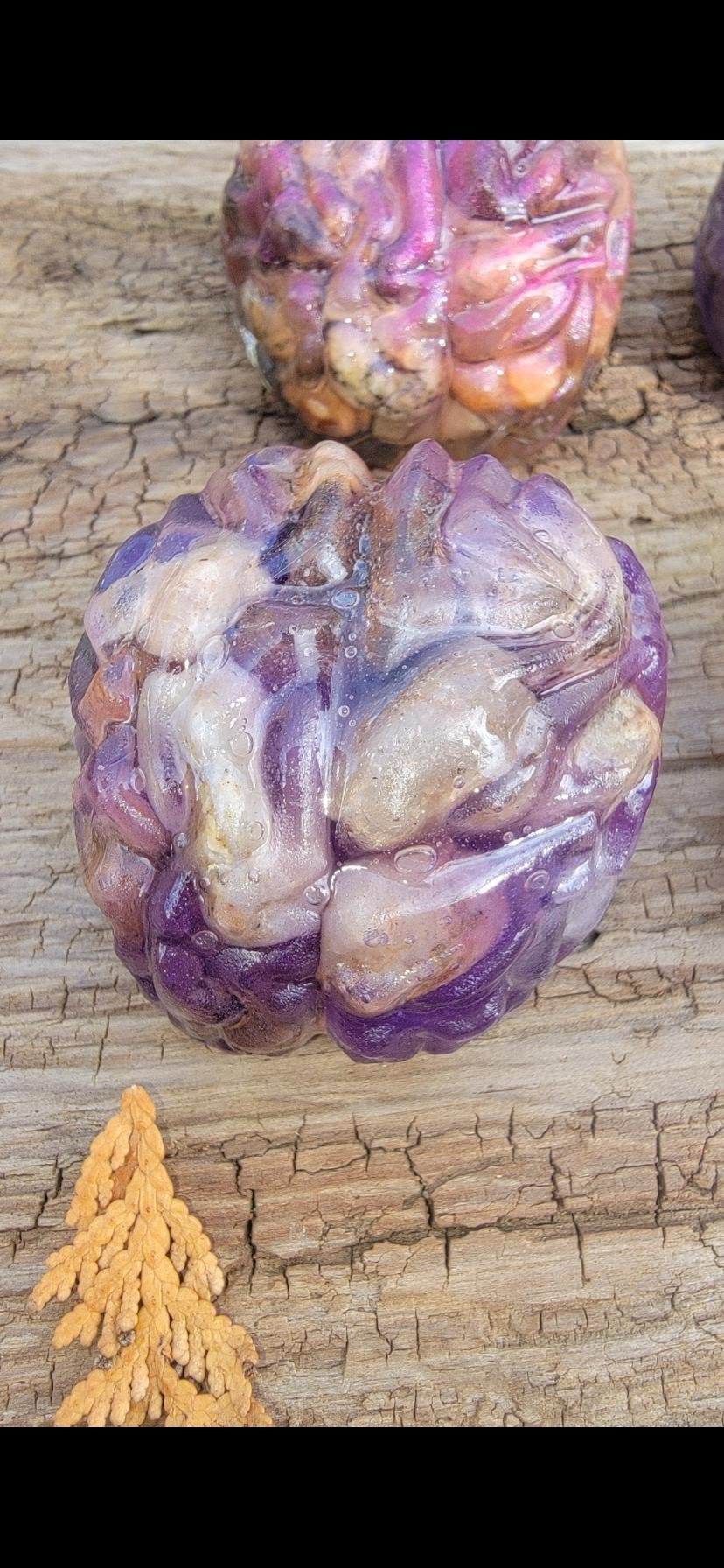 Rocks on the brain paperweights — option 3