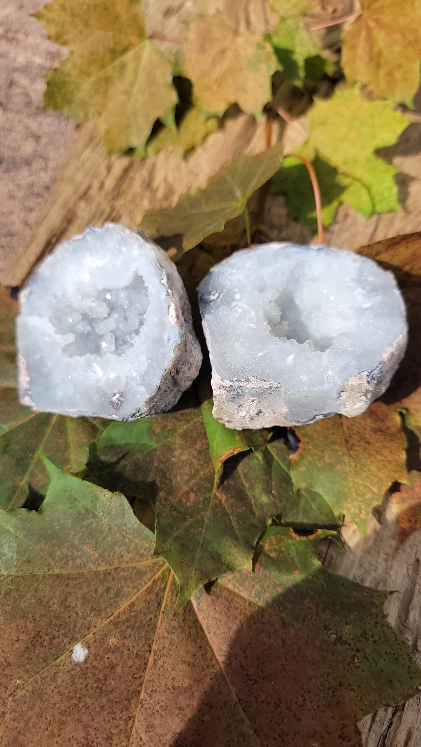 UV Reactive Green Trancas Geode Pair: Druzy Crystals, Botryoidal Bumps