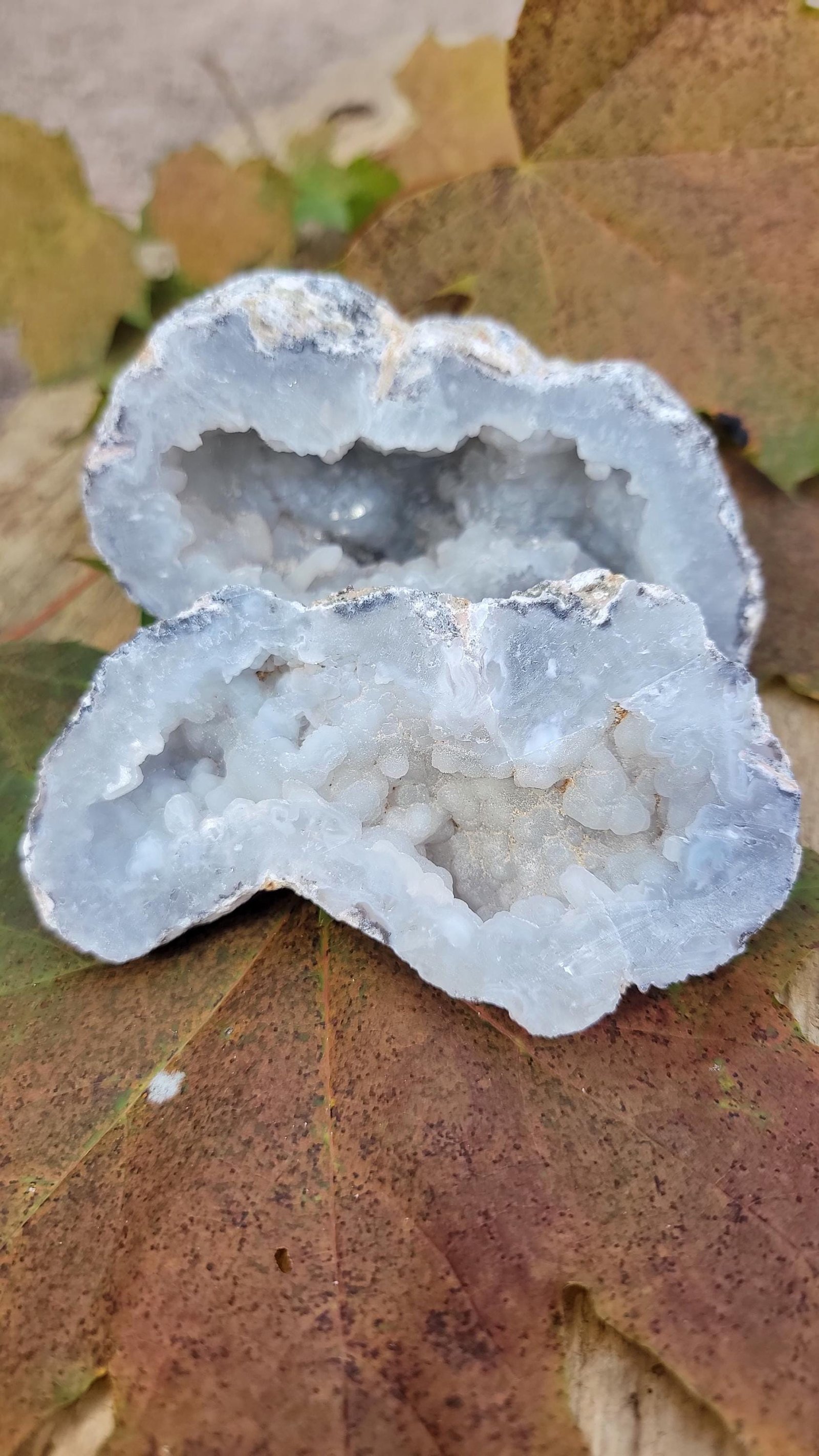 Trancas Geode Half: Druzy Quartz, Botryoidal Exterior, UV Reactive — 5.5oz