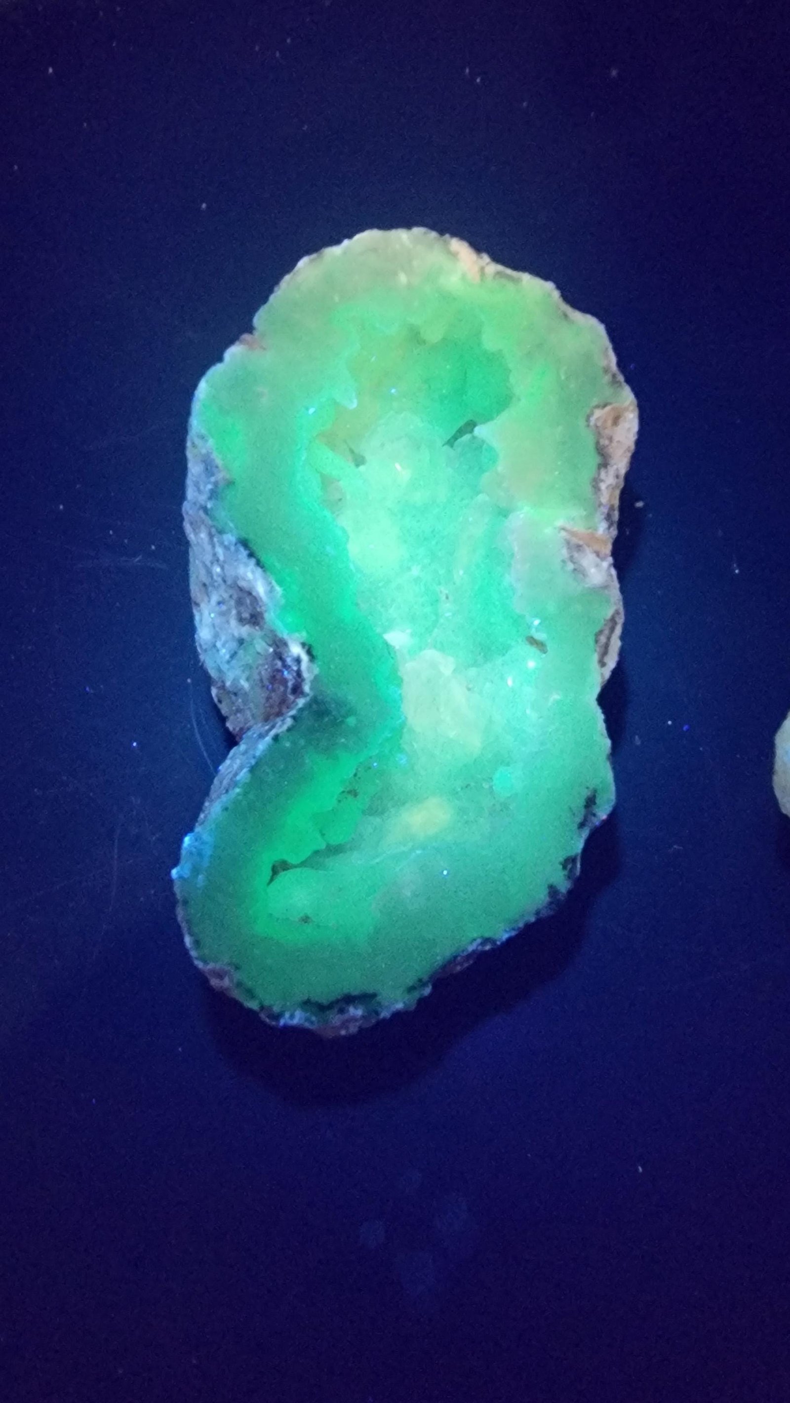 Trancas Geode Half: Druzy Quartz, Botryoidal Exterior, UV Reactive — 5.5oz — photo 6 of 7