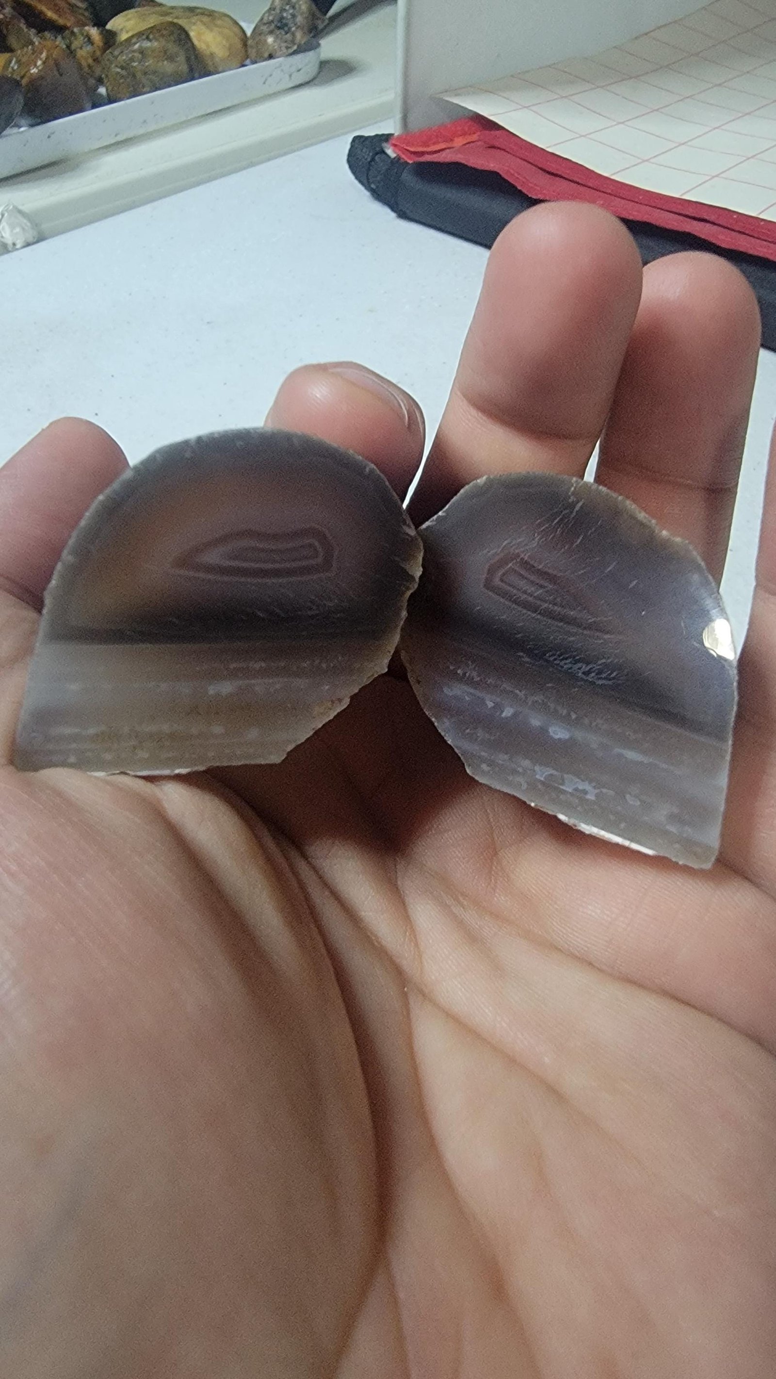 Polished Swazi Agate Half: Vibrant Banding, Crystal Decor - Choose Your Piece — 2.2oz