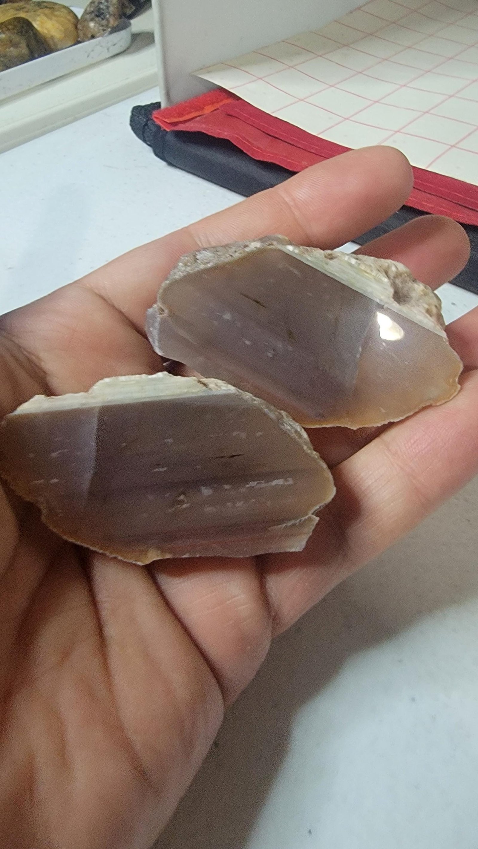 Polished Swazi Agate Half: Pink, Purple & White Banding - Cabochon Gemstone — 2.7oz