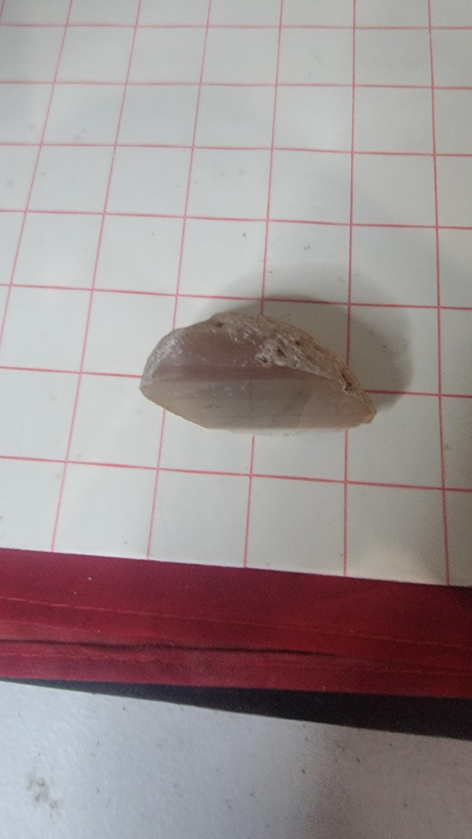 Polished Swazi Agate Half: Pink, Purple & White Banding - Cabochon Gemstone — 2.7oz — photo 6 of 8